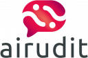 Airudit