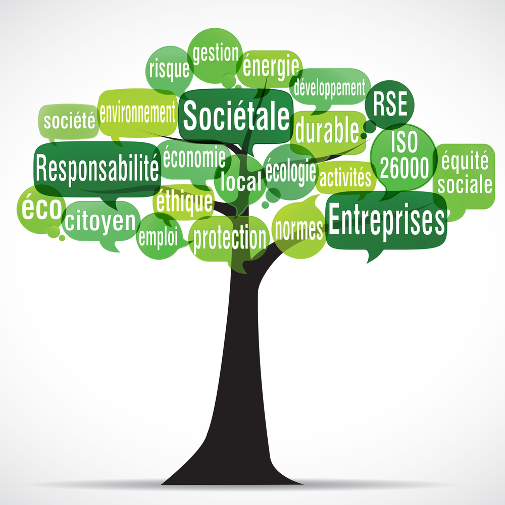 RSE : quelle entreprise pour quelle société ?